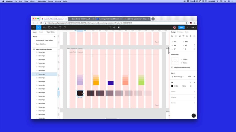 Brand Guidelines: Color