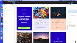 Developer Review: The Beach Collective