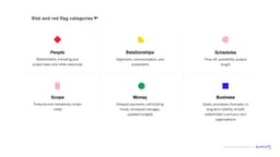 Risk and Red Flag Categories