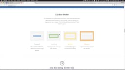 Padding, margins and the box model
