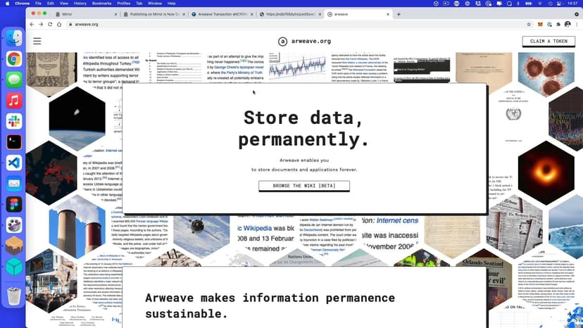 Variation: Mirror and Arweave