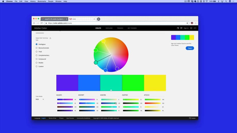 Visual Identity: Color Palette Exploration